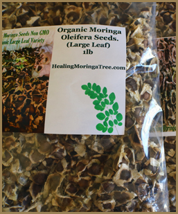 Maskeliya-Web-Organic-Morigana1_03